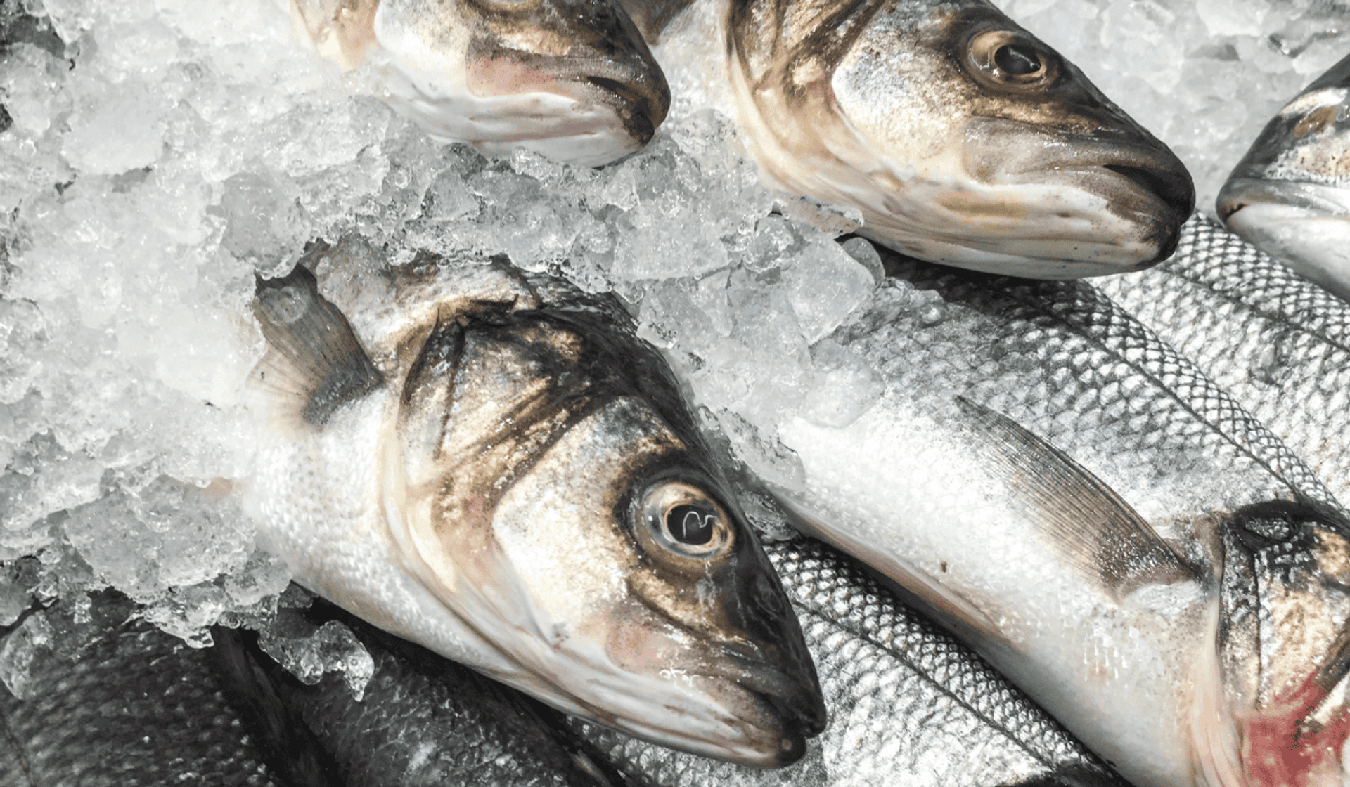 Разработчики Apple исправили множество ошибок в новой Mac OS X