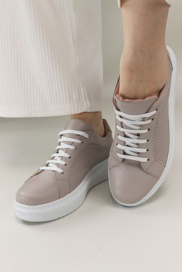 Ученые: Люди и цыплята одинаково воспринимают числа