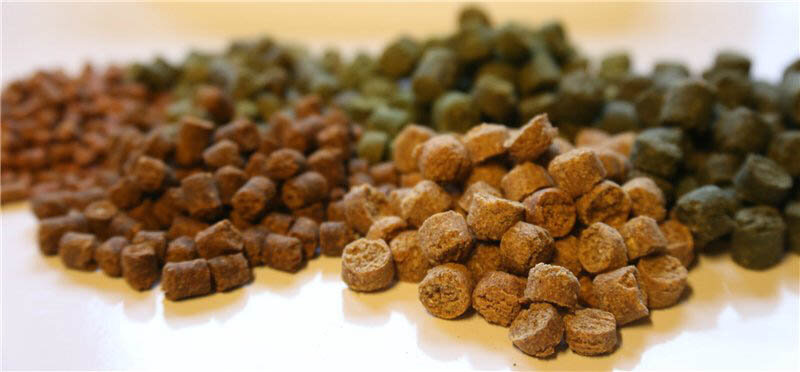 HTC готовит One A9s — второе поколение своего «айфоноподобного» смартфона